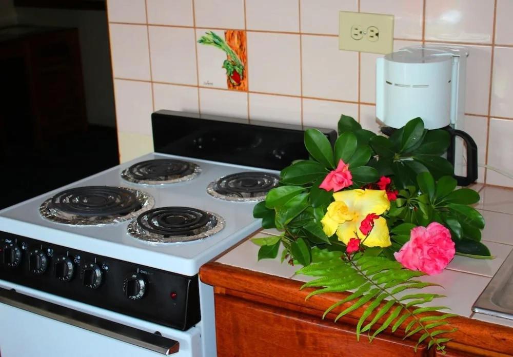 Hotel Ecological Inn San Jose  Bagian luar foto
